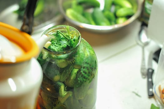 People are preparing in the kitchen. pickling cucumbers, preparation for winter salting.