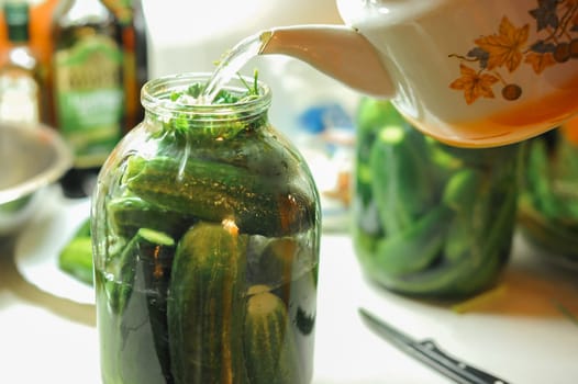 People are preparing in the kitchen. pickling cucumbers, preparation for winter salting.