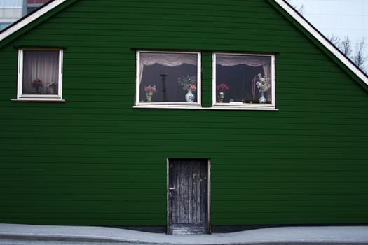 house wood architecture entrance door green color
