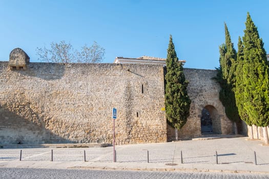 Granada Door, Ubeda, Jaen, Spain