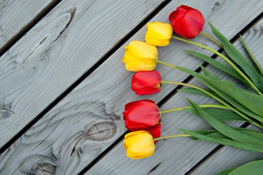 yellow and red tulips on wooden ground from above