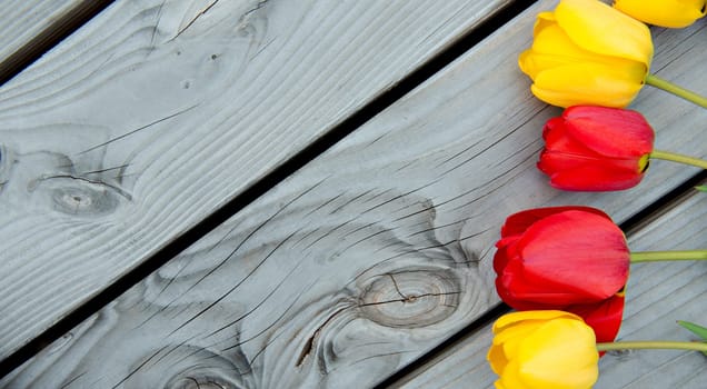 yellow and red tulips on wooden ground from above