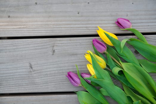 yellow and violet tulips on wooden ground from above