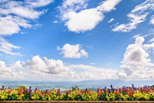 Beautiful nature landscape of bright blue sky background and white clouds above the flower balcony on the mountain in Thailand