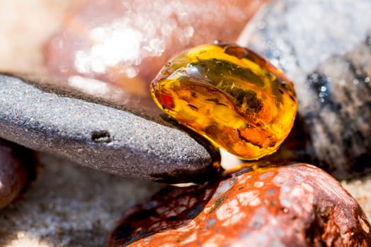 Amber on the Baltic Sea beach.