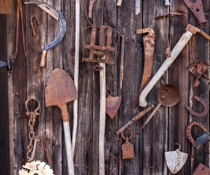 different agricultural tools hanging on brown wooden wall