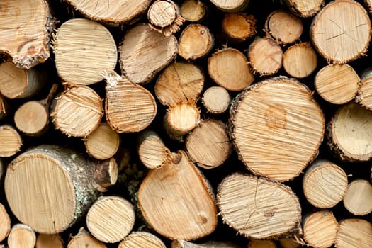 many wooden logs cuts can be used as background