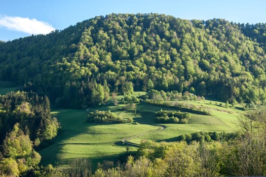 beautiful view on green hill with forest and field landscape