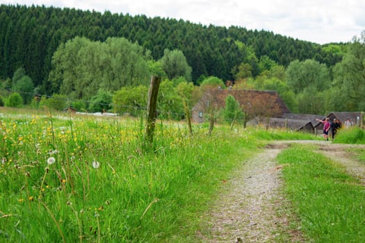 Bergisches Land in Germany -  spring meadows