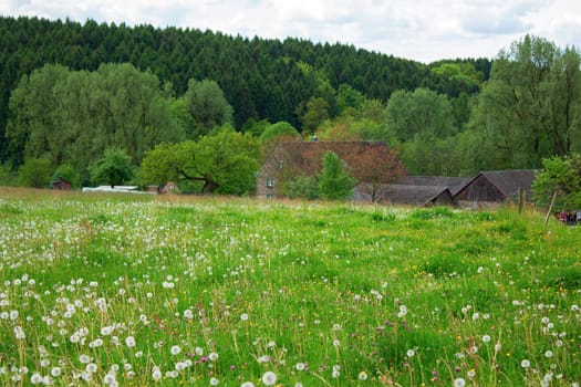 Bergisches Land in Germany -  spring meadows