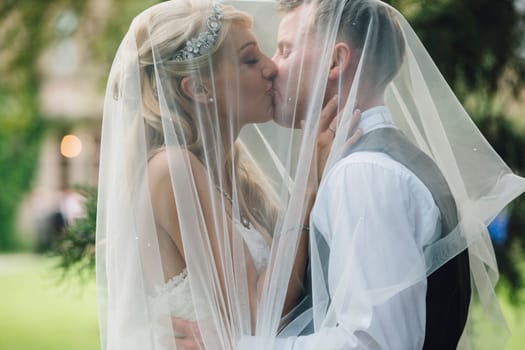 Newly wed couple are embracing in a kiss, under the brides veil.