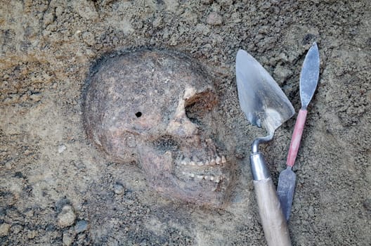 Archaeological excavation with skeletons, skulls and spartels to dig with