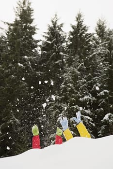 People in the snow