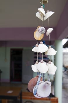 sea shell ornament hanging