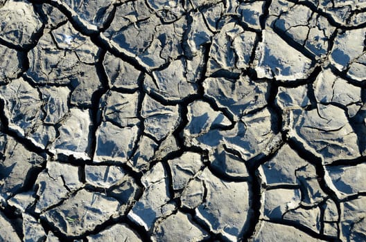 Dryness