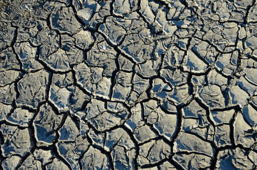 Dryness