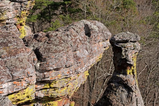Turtle Rock on a Forest Cliff in the Kings Bluff Scenic area in Ozark National Forest in Arkansas