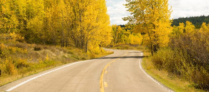A well worn two lane road leads around a bend Autumn season fall color