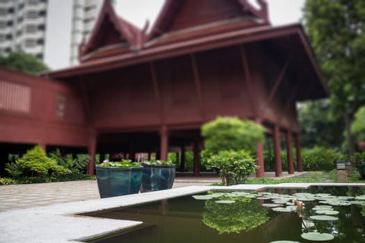 Lotus Pond In Front Of Traditional Garden, stock photo