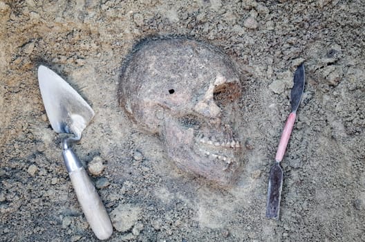Archaeological excavation with skeletons, skulls and spartels to dig with
