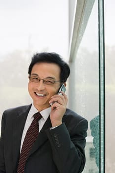 Businessman using a cellular telephone