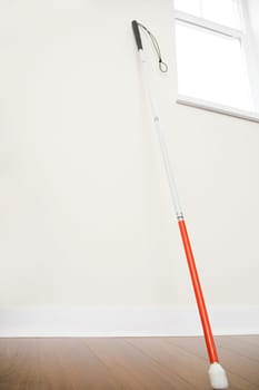 Walking stick against a wall