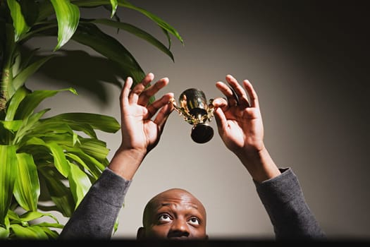 Businessman holding up his trophy