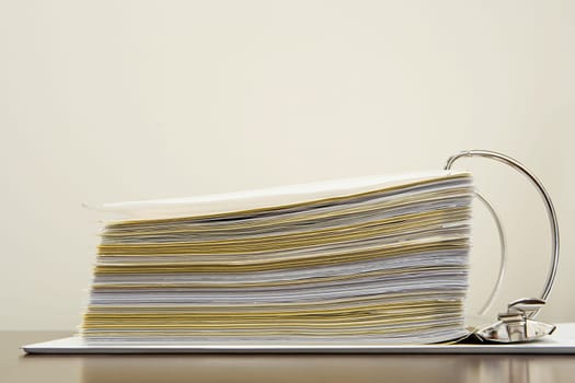 Papers in a ring binder