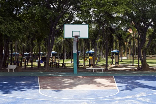 basket basketball park court trees