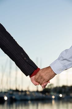 Couple holding hands at harbour