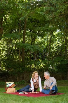 Couple having a picnic
