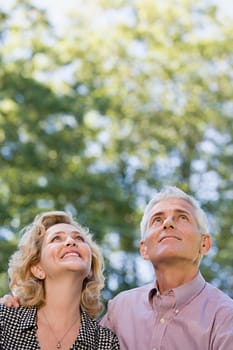 Couple in forest looking up