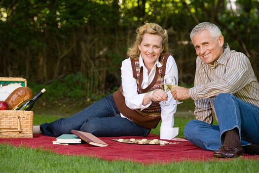 Couple having a picnic
