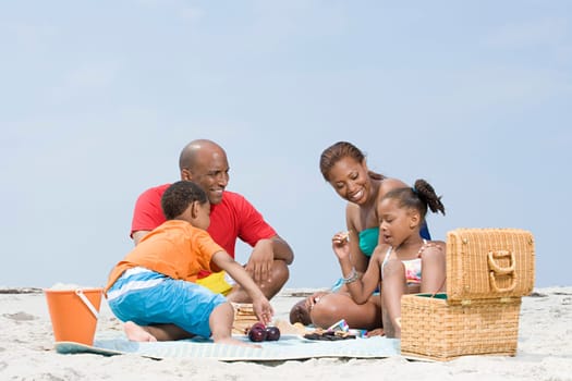 Family having a picnic