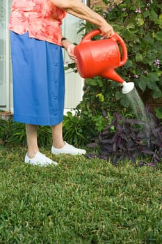 Senior woman watering the garden