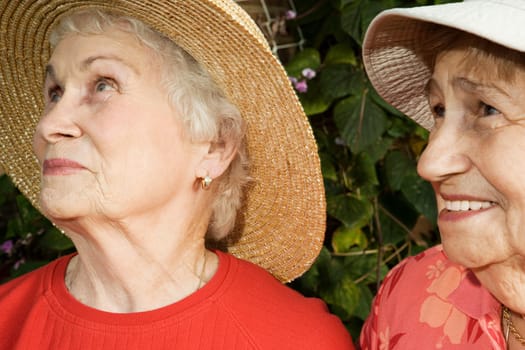 Portrait of two senior women