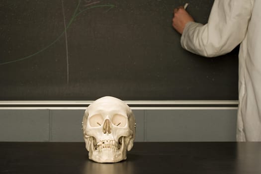 Human skull on a classroom desk