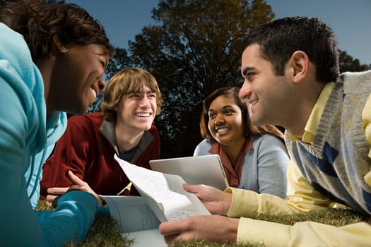 Four students studying outdoors