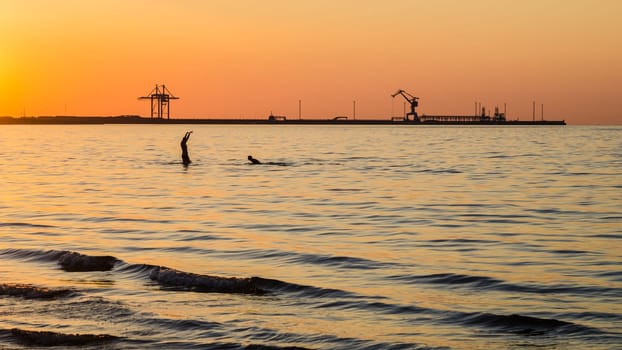 Couple bathing at sunset in the sea