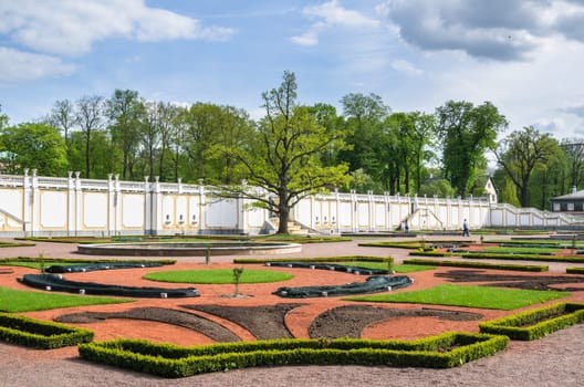 TALLINN, ESTONIA - MAY 15:  Old Oak in Kadriorg Park on May 15, 2016 in Tallinn, Estonia.
