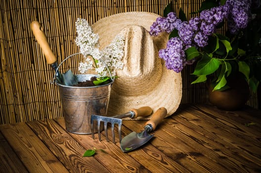 Gardening tools and a branch of a blossoming white lilac on a wooden surface