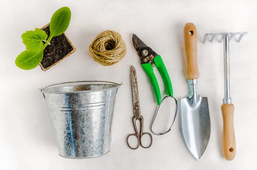 Garden tools for planting, on white background
