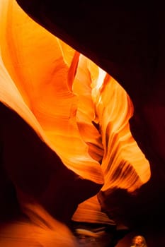 Sandstone takes on even more gold color as light streams in from above