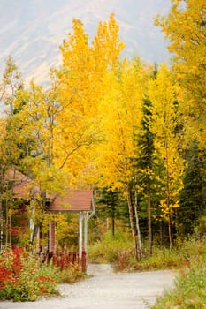 A porch juts out into the path below the trees with autumn leaves