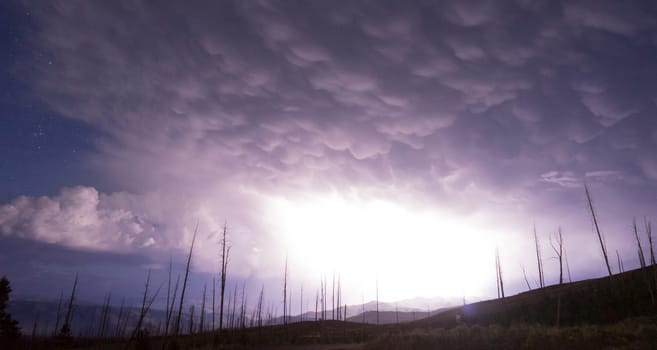 A storm passes thru quickly near Chittenden Road in Yellowstone revealing previously burned trees from lightning strikes