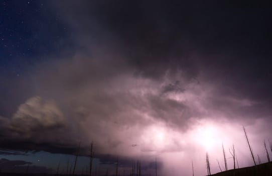 A storm passes thru quickly near Chittenden Road in Yellowstone revealing previously burned trees from lightning strikes
