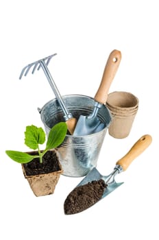 Garden tools for planting, isolated on white