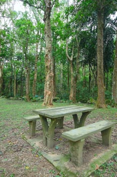 Picnic place in forest
