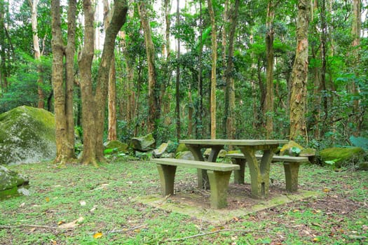 Picnic place in forest