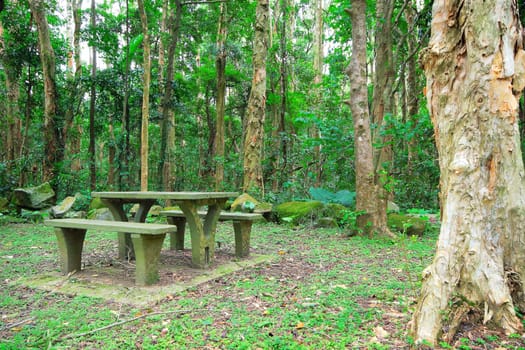 Picnic place in forest